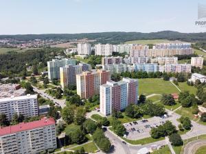 Pronájem bytu 1+1, Brno, Rerychova, 39 m2