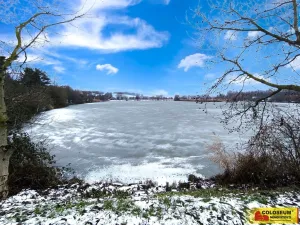 Prodej zahrady, Vojkovice, 773 m2