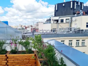 Pronájem kanceláře, Praha - Nové Město, Václavské náměstí, 511 m2