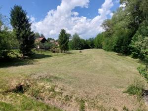 Prodej louky, Albrechtice, 5311 m2