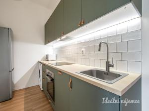 Pronájem bytu 1+kk, Praha - Karlín, Hybešova, 33 m2