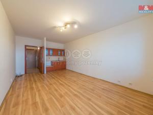 Pronájem bytu 1+kk, Karviná - Nové Město, tř. 17. listopadu, 29 m2