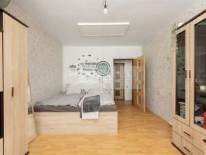 Prodej rodinného domu, Mladá Boleslav, Pod ořechy, 200 m2