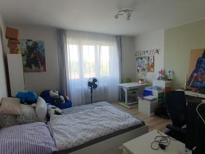 Pronájem bytu 3+kk, Hradec Králové, Fučíkova, 68 m2