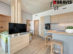 Prodej ubytování, Brno - Horní Heršpice, Bohunická, 34 m2