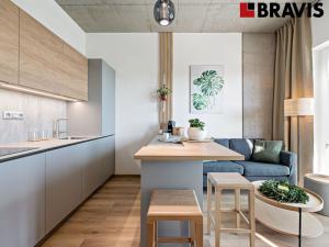 Prodej ubytování, Brno - Horní Heršpice, Bohunická, 34 m2