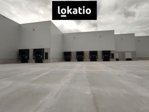 Pronájem skladu, Kozomín, 1895 m2