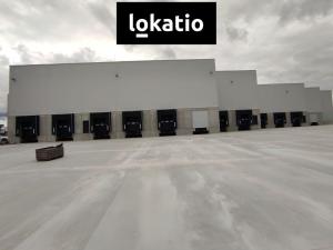 Pronájem skladu, Kozomín, 1895 m2