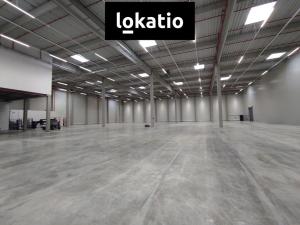 Pronájem skladu, Kozomín, 7420 m2