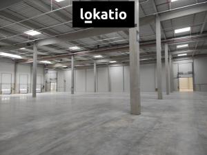 Pronájem skladu, Kozomín, 7420 m2