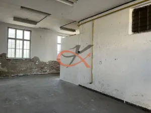 Pronájem skladu, Valašské Meziříčí - Krásno nad Bečvou, 49 m2