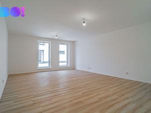 Prodej bytu 2+kk, Prostějov, Mlýnská, 112 m2