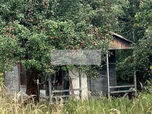 Prodej sadu/vinice, Velké Všelisy - Zamachy, 11900 m2