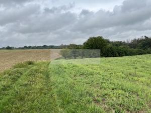 Prodej sadu/vinice, Velké Všelisy - Zamachy, 11900 m2