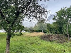 Prodej sadu/vinice, Velké Všelisy - Zamachy, 11900 m2