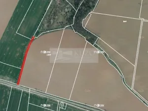 Prodej sadu/vinice, Velké Všelisy - Zamachy, 11900 m2