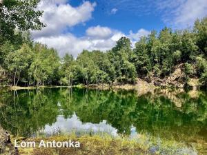 Prodej rodinného domu, Kamenice nad Lipou, Dobšova, 186 m2