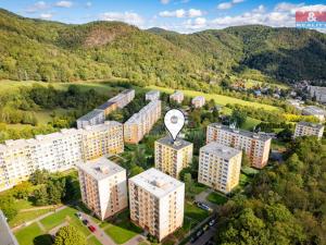 Prodej bytu 2+1, Ústí nad Labem - Mojžíř, Peškova, 43 m2