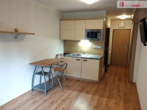 Pronájem bytu 1+kk, Všemina, 23 m2