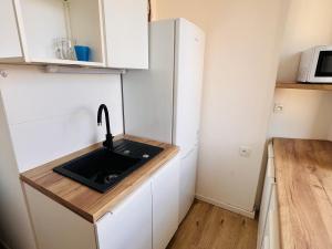 Pronájem bytu 1+1, Teplice, Cajthamlova, 27 m2