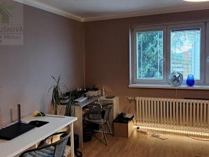 Pronájem bytu 1+1, Frýdek-Místek, U Nemocnice, 39 m2