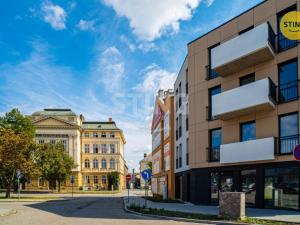 Prodej bytu 3+kk, Prostějov, Mlýnská, 184 m2