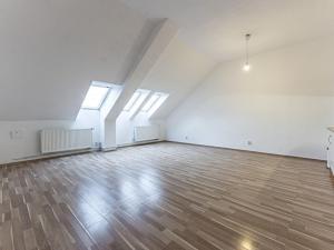 Pronájem bytu 1+kk, Praha - Vinohrady, Dykova, 40 m2