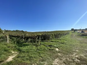 Prodej sadu/vinice, Čejkovice, 11340 m2