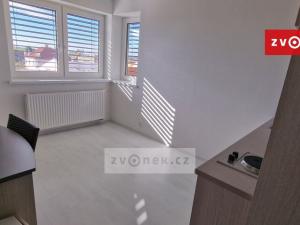 Pronájem bytu 1+kk, Zlín - Malenovice, I. Veselkové, 20 m2