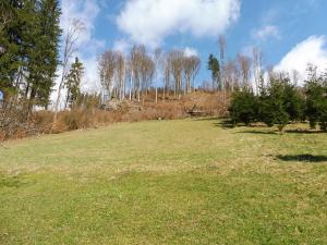 Prodej rodinného domu, Jablonec nad Jizerou, 1562 m2