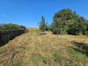 Prodej rodinného domu, Býškovice, 1924 m2