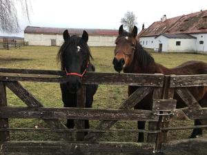 Prodej ubytování, Veliká Ves