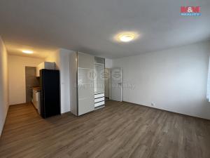 Pronájem bytu 1+kk, Ústí nad Labem - Bukov, Vinařská, 32 m2