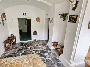Prodej chalupy, Lovečkovice - Knínice, 1690 m2