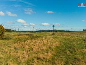 Prodej pozemku pro bydlení, Přimda - Malé Dvorce, 1391 m2