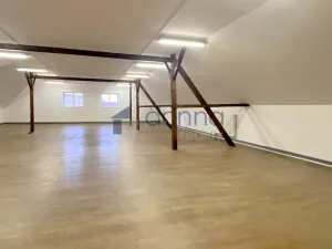 Pronájem skladu, Praha - Krč, Vídeňská, 323 m2