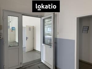 Pronájem skladu, Praha - Košíře, Naskové, 213 m2