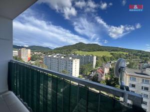 Pronájem bytu 1+kk, Děčín - Děčín III-Staré Město, Oblouková, 28 m2