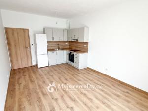 Pronájem bytu 2+kk, Znojmo, Malá Louka, 46 m2