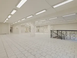 Pronájem obchodního prostoru, Nový Jičín, Masarykovo nám., 500 m2