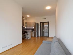 Pronájem bytu 1+kk, Brno, Šumavská, 47 m2