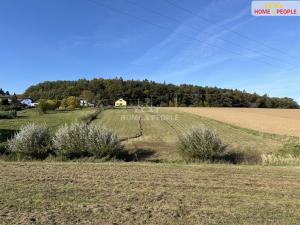 Prodej pozemku pro bydlení, Černé Voděrady, Černokostelecká, 3043 m2