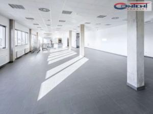 Pronájem skladu, Prostějov, Průmyslová, 6800 m2