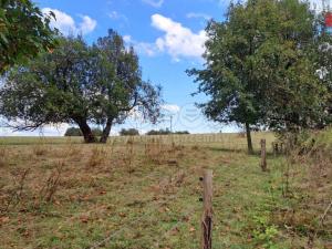 Prodej zahrady, Horní Město - Dobřečov, 756 m2