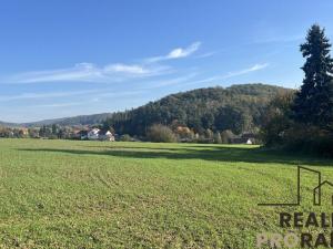 Prodej pozemku pro bydlení, Lažany, 3195 m2