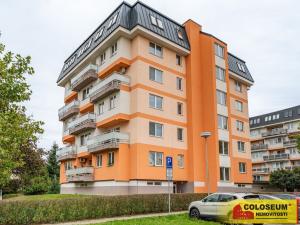 Prodej bytu 1+kk, Olomouc - Nové Sady, 37 m2