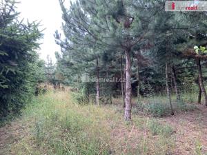 Prodej pozemku pro bydlení, Tmaň - Lounín, 4059 m2
