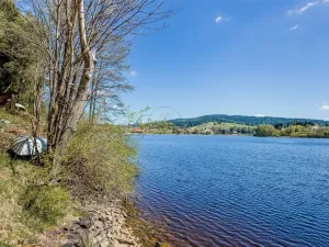 Prodej pozemku pro bydlení, Frymburk, 268 m2