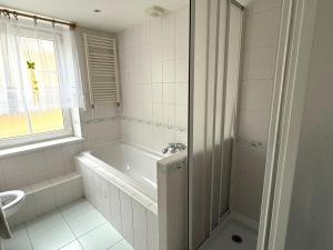 Pronájem bytu 4+kk, Litvínov - Horní Litvínov, Podkrušnohorská, 78 m2