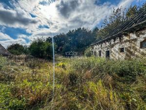 Prodej rodinného domu, Dešná - Chvalkovice, 520 m2